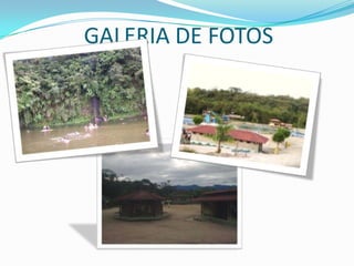 GALERIA DE FOTOS