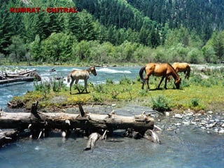 KUMRAT - CHITRALKUMRAT - CHITRAL
 