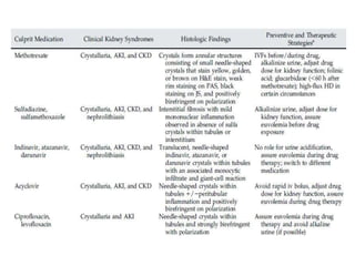 Pharmacotherapy of Drug induced kidney disease | PPTX