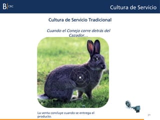 Cultura de Servicio

       Cultura de Servicio Tradicional

      Cuando el Conejo corre detrás del
                 Cazador…




La venta concluye cuando se entrega el                   30
producto.
 