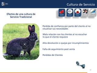 Cultura de Servicio

Efectos de una cultura de
                                                                                                      Evaluación
                                             Estrategia   Excelencia   Cultura de   Liderazgo              e
                                             Comercial    Operativa     Servicio    del Equipo        incentivos

   Servicio Tradicional


                            Perdida de confianza por parte del cliente al no
                            visualizar sus necesidades

                            Mala relación con los clientes al no escuchar
                            lo que el cliente requiere

                            Alta devolución o quejas por incumplimientos

                            Falta de seguimiento post venta

                            Perdidas de Clientes




                                                                                                 31
 