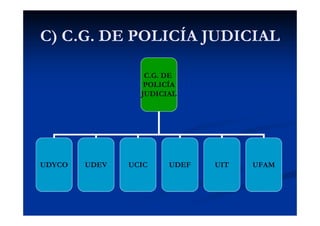 C) C.G. DE POLICÍA JUDICIAL
C.G. DE
POLICÍA
JUDICIAL
UDYCO UDEV UCIC UDEF UIT UFAM
 