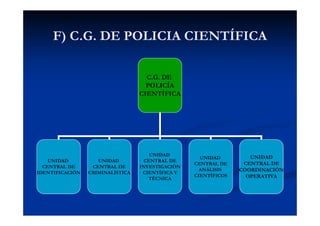 F) C.G. DE POLICIA CIENTÍFICA
C.G. DE
POLICÍA
CIENTÍFICA
UNIDAD
CENTRAL DE
IDENTIFICACIÓN
UNIDAD
CENTRAL DE
CRIMINALÍSTICA...