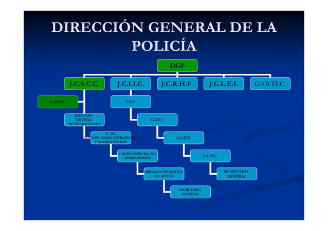 Organigrama Direccion General Policia