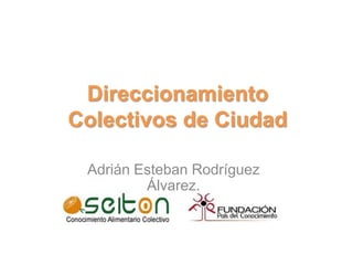 Direccionamiento Colectivos de Ciudad Adrián Esteban Rodríguez Álvarez. 
