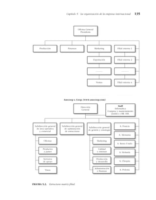 Capítulo 5 La organización de la empresa internacional 135
Oficina General
Presidente
Producción Finanzas Marketing Filial externa 1
Exportación
Ventas
Filial externa 2
Filial externa n
............ ............
Anecoop s. Coop. (www.anecoop.com)
Dirección
General
Subdirección general
de área operativa
y comercial
Subdirección general
de optimización
de estruccturas
Subdirección general
de gestión y estrategia
Oficinas
Productos
y países
Servicios
de apoyo
Vinos
Marketing
Calidad
y sistemas
Producción
y desarrollo
Administración
y finanzas
A. Francia
A. Alemania
A. Reino Unido
A. Holanda
A. Chequia
A. Polonia
Staff
Informática
Compras y mantenimiento
Jurídico y RR. HH.
FIGURA 5.2. Estructura matriz-filial.
 