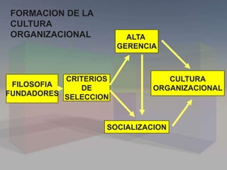 FILOSOFIA
FUNDADORES
CRITERIOS
DE
SELECCION
ALTA
GERENCIA
SOCIALIZACION
CULTURA
ORGANIZACIONAL
FORMACION DE LA
CULTURA
ORGANIZACIONAL
 