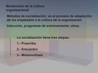 Métodos de socialización: es el proceso de adaptación
de los empleados a la cultura de la organización
Inducción, programas de entrenamiento, otros.
La socialización tiene tres etapas:
1.- Prearribo
2.- Encuentro
3.- Metamorfosis
Mantención de la cultura
organizacional
 