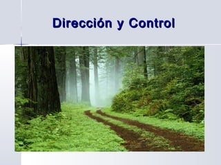 Dirección y ControlDirección y Control
 
