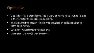 Optic disc
• Optic disc- It’s a Ophthalmoscopic view of nerve head , while Papilla
is the term for Microscopical sections.
• Its an insensitive area in Retina where Ganglion cell axons exit to
form optic nerve.
• Location- Nasal to Geometrical axis
• Diameter- 1.5 mm(1 Disc Diopter)
 