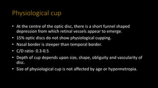 Physiological cup
• At the centre of the optic disc, there is a short funnel shaped
depression from which retinal vessels appear to emerge.
• 15% optic discs do not show physiological cupping.
• Nasal border is steeper than temporal border.
• C/D ratio- 0.3-0.5
• Depth of cup depends upon size, shape, obliguity and vascularity of
disc.
• Size of physiological cup is not affected by age or hypermetropia.
 