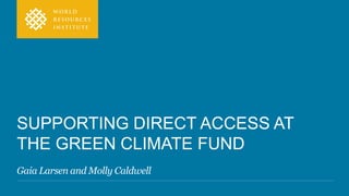 SUPPORTING DIRECT ACCESS AT
THE GREEN CLIMATE FUND
Gaia Larsen and Molly Caldwell
 