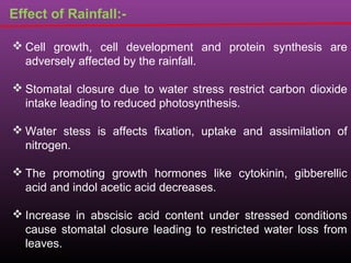 Effect of Rainfall:-
 Cell growth, cell development and protein synthesis are
adversely affected by the rainfall.
 Stomatal closure due to water stress restrict carbon dioxide
intake leading to reduced photosynthesis.
 Water stess is affects fixation, uptake and assimilation of
nitrogen.
 The promoting growth hormones like cytokinin, gibberellic
acid and indol acetic acid decreases.
 Increase in abscisic acid content under stressed conditions
cause stomatal closure leading to restricted water loss from
leaves.
 