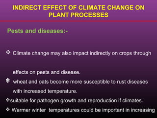 INDIRECT EFFECT OF CLIMATE CHANGE ON
PLANT PROCESSES
Pests and diseases:-
 Climate change may also impact indirectly on crops through
effects on pests and disease.
 wheat and oats become more susceptible to rust diseases
with increased temperature.
suitable for pathogen growth and reproduction if climates.
 Warmer winter temperatures could be important in increasing

 