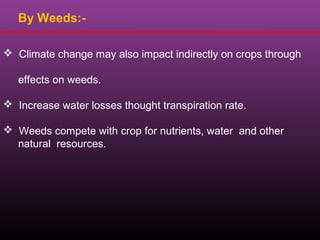 By Weeds:-
 Climate change may also impact indirectly on crops through
effects on weeds.
 Increase water losses thought transpiration rate.
 Weeds compete with crop for nutrients, water and other
natural resources.
 