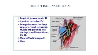 DIRECT INGUINAL HERNIA
• Acquired weaknesses in TF
• Location: Hesselbach’s
• Emerge between the deep
epig. artery and rectus abd.
muscle and protrude into
the ingu. canal but not into
the SC.
• More difficult to repair?!
• Men
 