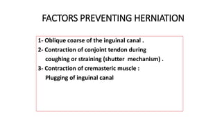FACTORS PREVENTING HERNIATION
1- Oblique coarse of the inguinal canal .
2- Contraction of conjoint tendon during
coughing or straining (shutter mechanism) .
3- Contraction of cremasteric muscle :
Plugging of inguinal canal
 