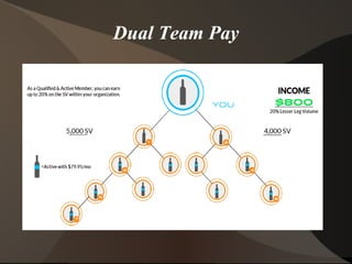 Dual Team Pay
 