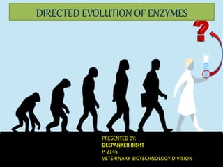 DIRECTED EVOLUTION OF ENZYMES
PRESENTED BY:
DEEPANKER BISHT
P-2145
VETERINARY BIOTECHNOLOGY DIVISION
 