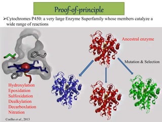 Proof-of-principle
Cytochromes P450: a very large Enzyme Superfamily whose members catalyze a
wide range of reactions
Ancestral enzyme
Mutation & Selection
Hydroxylation
Epoxidation
Sulfoxidation
Dealkylation
Decarboxlation
Nitration
Coelho et al., 2013
 
