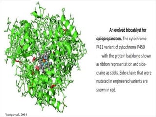 P450 BM3 268A 323 1:99 -99
Wang et al., 2014
 