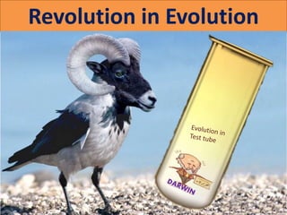 Revolution in Evolution
 