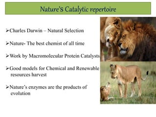 Nature’s Catalytic repertoire
May be after
billions of
years…..sad
Nature- The best chemist of all time
Work by Macromolecular Protein Catalysts
Good models for Chemical and Renewable
resources harvest
Nature’s enzymes are the products of
evolution
Charles Darwin – Natural Selection
 
