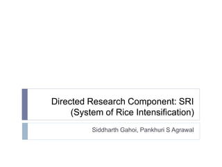 Directed Research Component: SRI
(System of Rice Intensification)
Siddharth Gahoi, Pankhuri S Agrawal
 