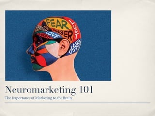 Neuromarketing 101
The Importance of Marketing to the Brain
 