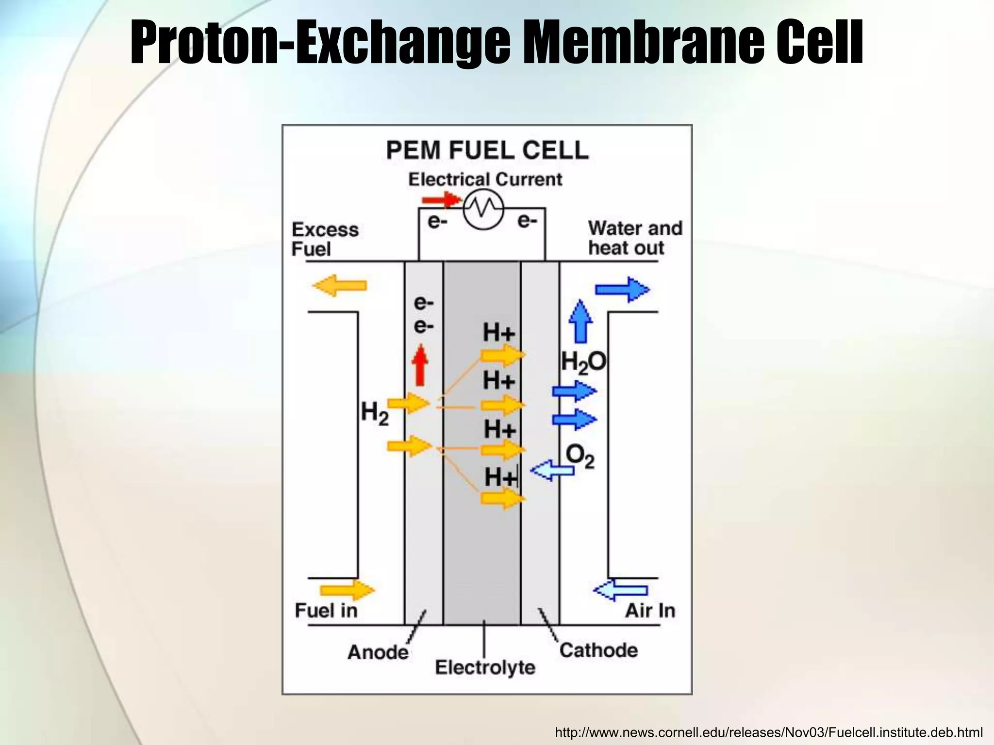 Proton-Exchange Membrane Cell
http://www.news.cornell.edu/releases/Nov03/Fuelcell.institute.deb.html
 