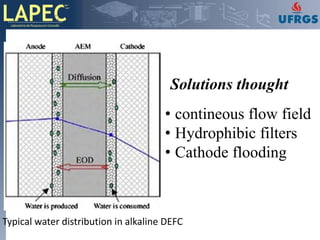 Direct Ethanol Fuel Cells Def Cs | PDF