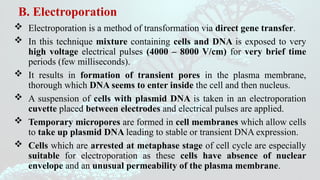 Direct Gene Transfer Techniques for Developing Transgenic Plants | PPTX