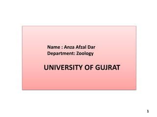 Name : Anza Afzal Dar
Department: Zoology
UNIVERSITY OF GUJRAT
1
 