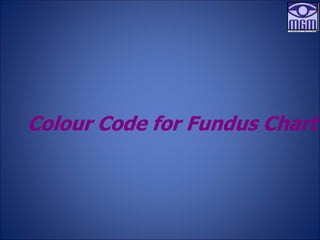 Colour Code for Fundus Chart
 