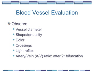 Blood Vessel Evaluation
Observe:
Vessel diameter
Shape/tortuosity
Color
Crossings
Light reflex
Artery/Vein (A/V) ratio: after 2nd
bifurcation
 