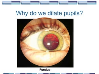 Why do we dilate pupils?
 