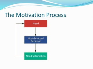 The Motivation Process
 