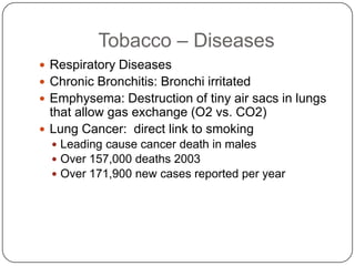 Tobacco – Diseases
 Respiratory Diseases
 Chronic Bronchitis: Bronchi irritated
 Emphysema: Destruction of tiny air sacs in lungs
  that allow gas exchange (O2 vs. CO2)
 Lung Cancer: direct link to smoking
   Leading cause cancer death in males
   Over 157,000 deaths 2003
   Over 171,900 new cases reported per year
 