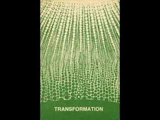 directional force DEBEAUFORT