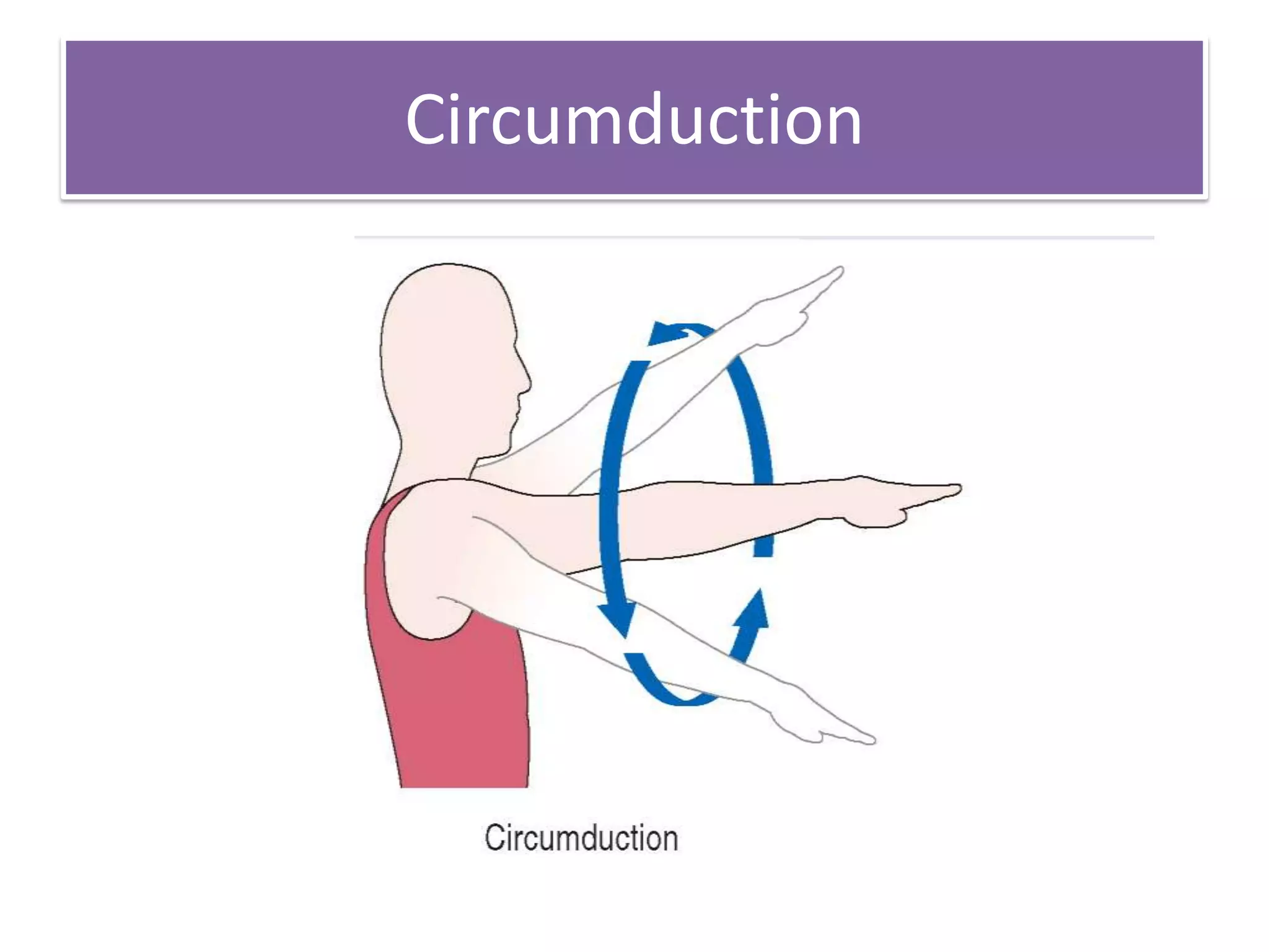 Circumduction