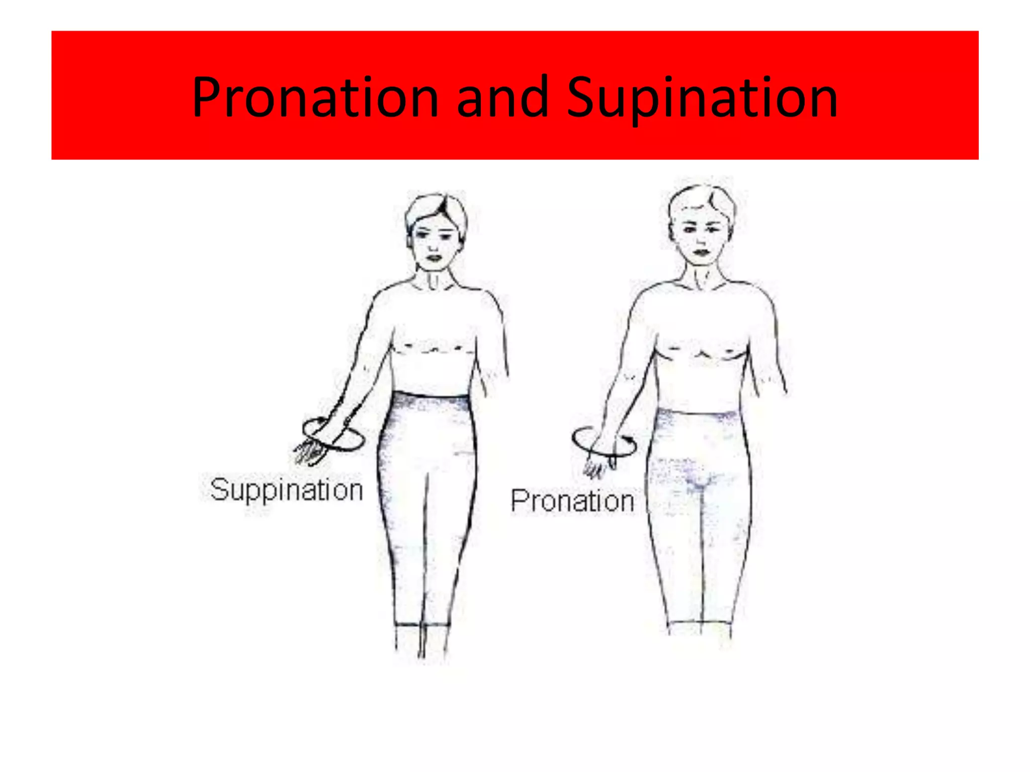 Pronation and Supination