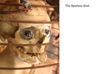 The Spartans died. 