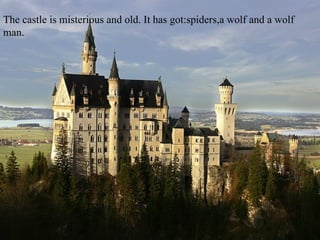 The castle is misterious and old. It has got:spiders,a wolf and a wolf man.