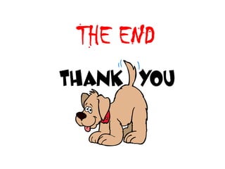 THE END
 