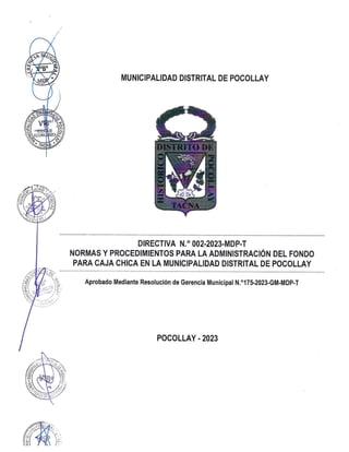 DIRECTIVA_CAJA CHICA_MDPY_2023.pdf