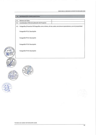 Directiva de trabaja peru