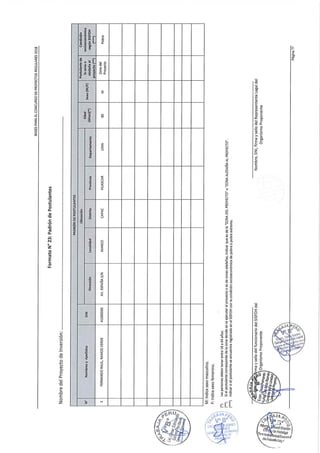 Directiva de trabaja peru