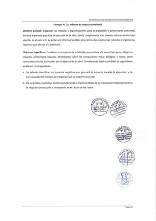 Directiva de trabaja peru