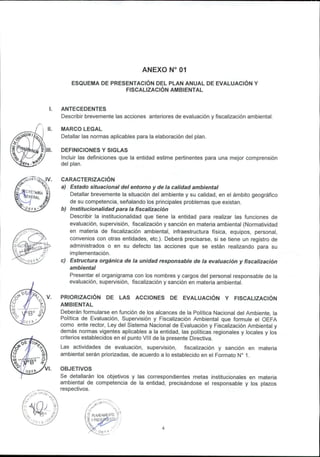 ANEXO N° 01
ESQUEMA DE PRESENTACIÓN DEL PLAN ANUAL DE EVALUACIÓN Y
FISCALIZACIÓN AMBIENTAL
ANTECEDENTES
Describir brevemente las acciones anteriores de evaluación y fiscalización ambiental.
MARCO LEGAL
Detallar las normas aplicables para la elaboración del plan.
DEFINICIONES Y SIGLAS
Incluir las definiciones que la entidad estime pertinentes para una mejor comprensión
del plan.
CARACTERIZACIÓN
a) Estado situacional del entorno y de la calidad ambiental
Detallar brevemente la situación del ambiente y su calidad, en el ámbito geográfico
de su competencia, señalando los principales problemas que existan.
b) Institucional/dad para la fiscalización
Describir la institucionalidad que tiene la entidad para realizar las funciones de
evaluación, supervisión, fiscalización y sanción en materia ambiental {Normatividad
en materia de fiscalización ambiental, infraestructura física, equipos, personal,
convenios con otras entidades, etc.). Deberá precisarse, si se tiene un registro de
administrados o en su defecto las acciones que se están realizando para su
implementación.
c) Estructura orgánica de la unidad responsable de la evaluación y fiscalización
ambiental
Presentar el organigrama con los nombres y cargos del personal responsable de la
evaluación, supervisión, fiscalización y sanción en materia ambiental.
PRIORIZACIÓN DE LAS ACCIONES DE EVALUACIÓN Y FISCALIZACIÓN
AMBIENTAL
Deberán formularse en función de los alcances de la Política Nacional del Ambiente, la
Política de Evaluación, Supervisión y Fiscalización Ambiental que formule el OEFA
como ente rector, Ley del Sistema Nacional de Evaluación y Fiscalización Ambiental y
demás normas vigentes aplicables a la entidad, las políticas regionales y locales y los
criterios establecidos en el punto VIII de la presente Directiva.
Las actividades de evaluación, supervisión, fiscalización y sanción en materia
ambiental serán priorizadas, de acuerdo a lo establecido en el Formato ND 1.
OBJETIVOS
Se detallarán los objetivos y las correspondientes metas institucionales en materia
ambiental de competencia de la entidad, precisándose el responsable y los plazos
respectivos.
 
