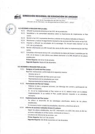 |á DIRECCrON REGIONAL DE EDUGAGION DE ANGASM
' ^ y f C u r n c u l o R e g i o n a l . . . ¡por r n c i o r o s a p r e n d i z a j e s }
••.lile? de la Consolidados del Mar de Grau" ; ; 7 r
"Decenio de las Personas con discapacidad en el Perú 2007 - 2016" / I f '
/ " •
/ r
6.2. ACCIONES A REALIZAR POR LA UGEL:
6.2.1. Difundir la presente directiva en las II.EE. de la jurisdicción.
6.2.2. Sensibilizar a la comunidad educativa sobre la importancia de implementar el Plan
Lector.
6.2.3. Remitir a las II.EE. la presente directiva y solicitar en los plazos indicados el Anexo 1.
6.2.4. Monitorear y realizar el seguimiento necesario a las acciones del Plan Lector en las II.EE.
6.2.5. Impulsar y difundir las actividades de la estrategia "En Ancash todos leemos" en las
II.EE. de su jurisdicción.
6.2.6. Remitir información a la DRE Ancash dos veces al año sobre la implementación del Plan
Lector.
6.2.7. Consolidar información de las II.EE. consolidando los datos del Anexo 1 remitidos por las
II.EE. en el Anexo 2, este último que deberá derivarse a la DRE Ancash en los plazos
establecidos.
Primer Reporte: Del 10 al 14 de octubre.
Segundo Reporte: Hasta el 9 de diciembre.
6.3. ACCIONES A REALIZAR POR LA II.EE.:
6.3.1. Designar el Comité del Plan Lector:
Bajo R.D. Institucional, conformada de la siguiente manera:
Director de la I.E. ' '
Docente responsable del Plan Lector por nivel.
Representante de los estudiantes por nivel.
Representante de los Padres de Familia.
6.3.2. Formulación del Plan de Trabajo:
Elaborar el plan y proponer acciones, con liderazgo del comité y participación de
todos los docentes.
Si no se ha implementado el Plan Lector en la I.E. deberá iniciar con la debida
implementación. Si ya realizó el Plan, puede ejecutar reajustes si se considera
necesario.
6.3.3. Implementación del Plan Lector:
Se refiere al desarrollo de las estrategias planificadas dentro de los plazos
establecidos.
Es necesario incluir a todos los estudiantes, docentes y directivos de la I.E.
6.3.4. Informe de acciones realizadas (Anexo 1) y plazos:
Según los plazos establecidos, las II.EE. informarán a la UGEL dos veces al año las
acciones realizadas en el Plan Lector, remitiendo el Anexo 1.
Los plazos de informe de las acciones son:
Primer Reporte: Del 3 al 7 de octubre.
Segundo Reporte: Del 28 de noviembre al 2 de diciembre.
 